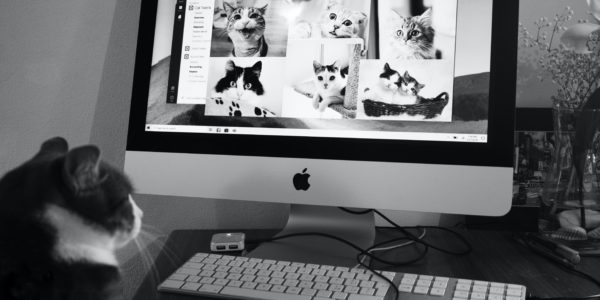 Chris Barbalis N2m2sbqe6iw Unsplash 600x300